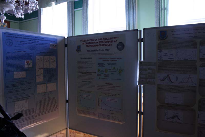 Conference Photos