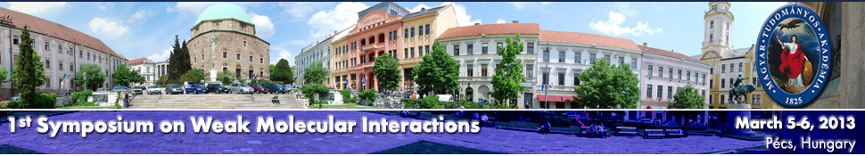 1st Symposium on Weak Molecular Interactions - March 5-6, 2013 - Pcs, Hungary
